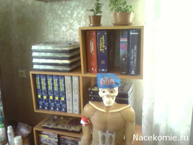 "Собери и познай человеческое тело" (сборка скелета)