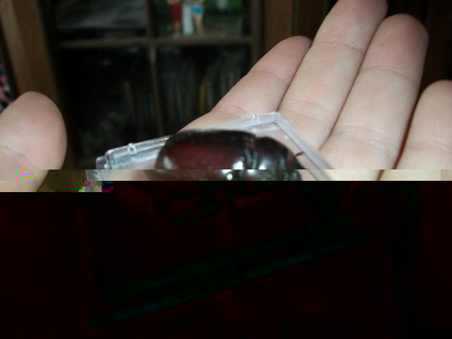 Самостоятельное коллекционирование насекомых