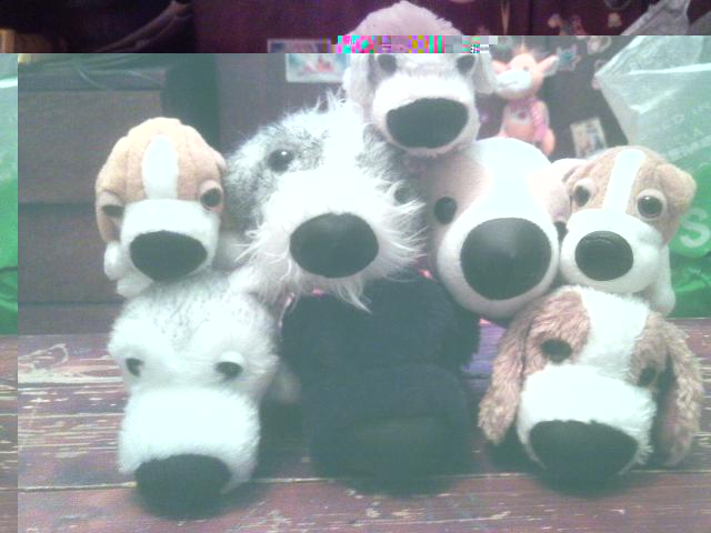 The Dog Collection 2010 - График Выхода и обсуждение