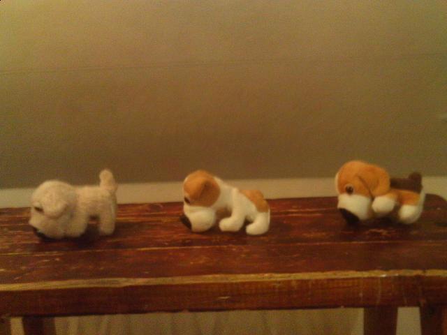 The Dog Collection 2010 - График Выхода и обсуждение