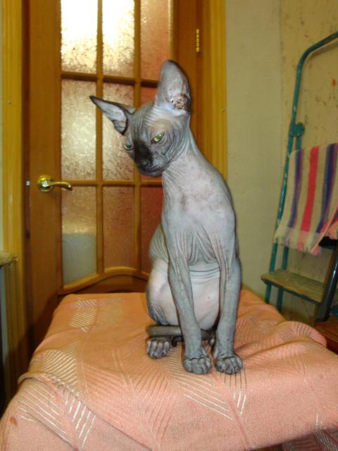 Болталка)) или милые детки, пишите сюда)))