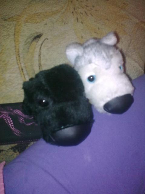 The Dog Collection 2010 - График Выхода и обсуждение