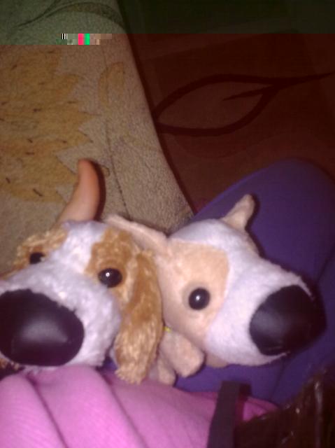 The Dog Collection 2010 - График Выхода и обсуждение