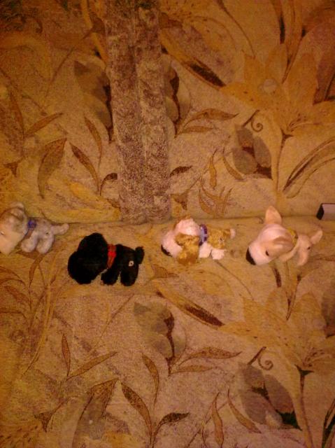 The Dog Collection 2010 - График Выхода и обсуждение