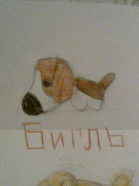 The Dog Collection 2010 - График Выхода и обсуждение