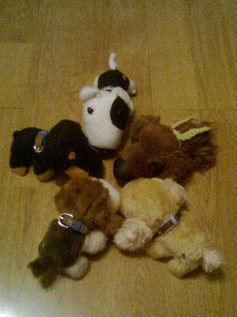 The Dog Collection 2010 - График Выхода и обсуждение