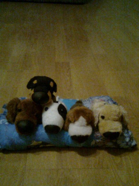 The Dog Collection 2010 - График Выхода и обсуждение