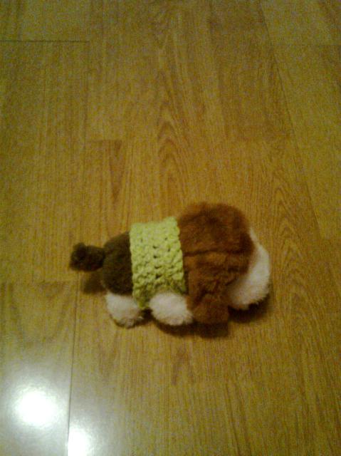 The Dog Collection 2010 - График Выхода и обсуждение