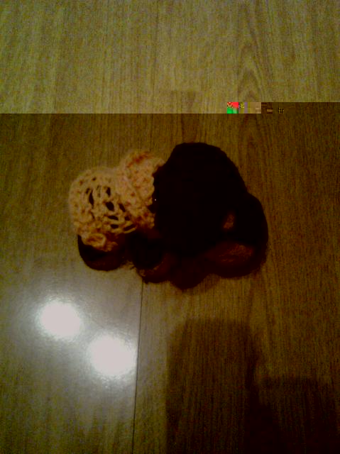 The Dog Collection 2010 - График Выхода и обсуждение