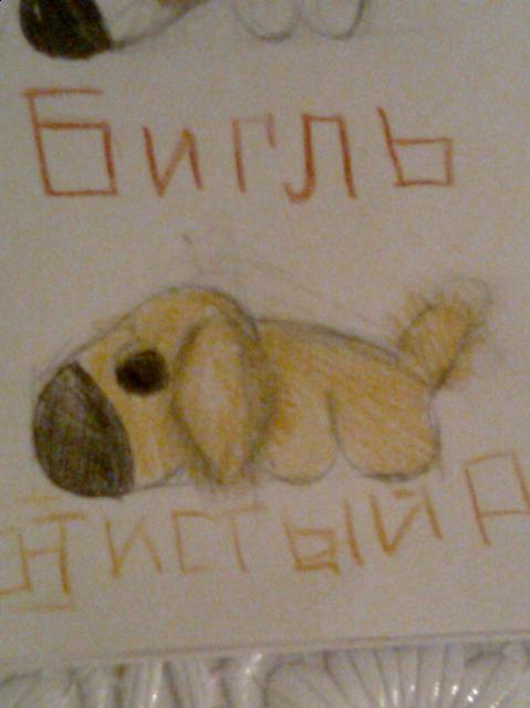 The Dog Collection 2010 - График Выхода и обсуждение