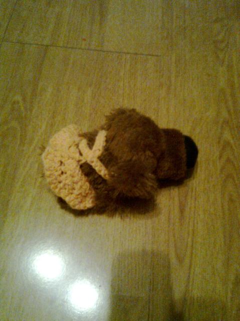 The Dog Collection 2010 - График Выхода и обсуждение