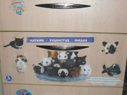 The Cat Collection График Выхода, обсуждение серии