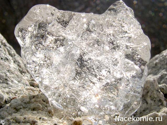 "ВСЕ ПРАЗДНИКИ" (Государственные. Народные. Дни рождения.)