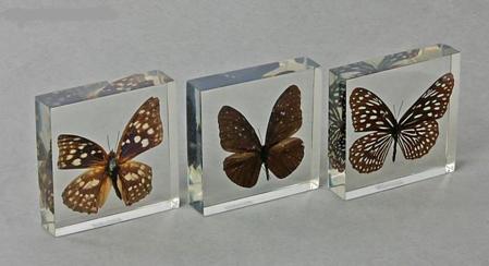 Правила создания тем Совместных Закупок и Коммерческих тем