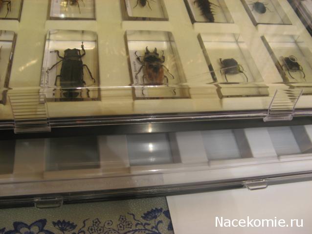 Насекомые и их знакомые 2010 График Выхода и обсуждение