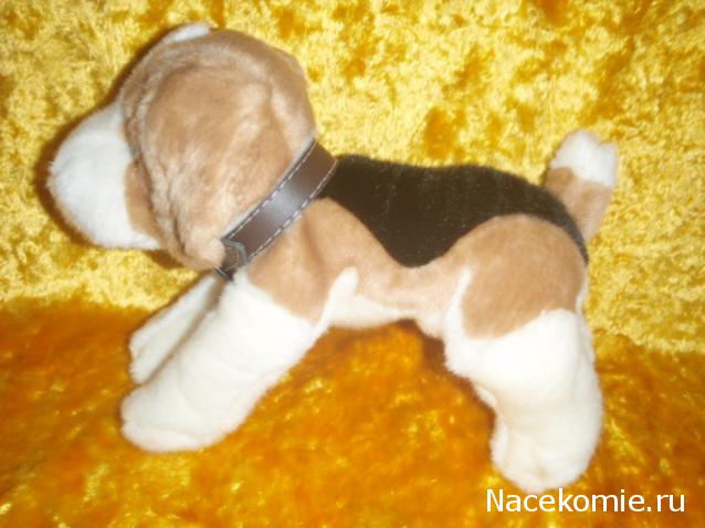 The Dog Collection 2010 - График Выхода и обсуждение