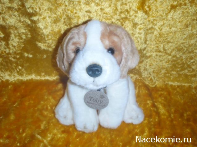 The Dog Collection 2010 - График Выхода и обсуждение