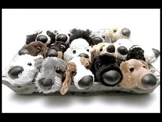 The Dog Collection 2010 - График Выхода и обсуждение