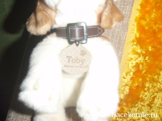 The Dog Collection 2010 - График Выхода и обсуждение