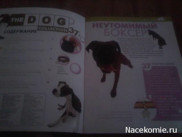 The Dog Collection 2010 - График Выхода и обсуждение