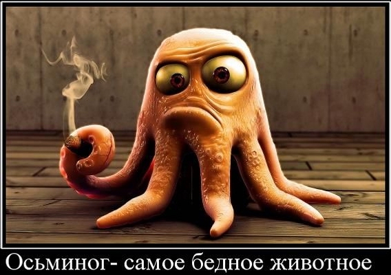 "Письмо в ООО "Джи Фаббри Эдишинз"