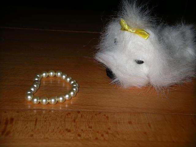 The Dog Collection №26 Мальтийская Болонка