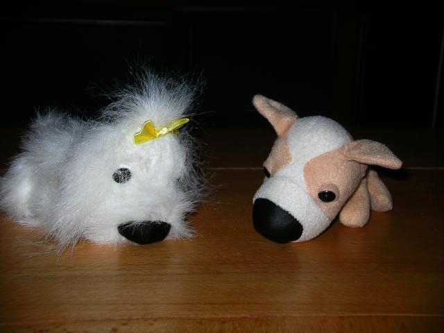 The Dog Collection №26 Мальтийская Болонка