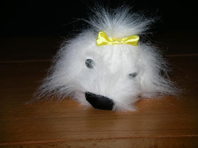 The Dog Collection №26 Мальтийская Болонка