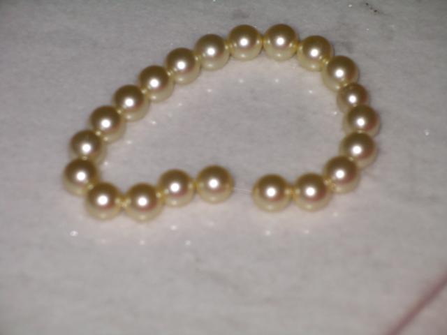 The Dog Collection №26 Мальтийская Болонка