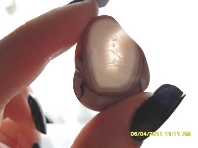 Vredina