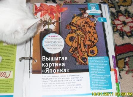 Наши домашние питомцы