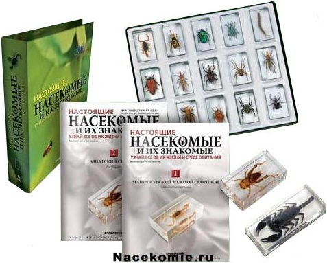 Коллекция Насекомые и их знакомые