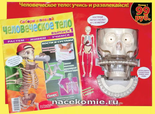 Собери и познай человеческое тело первый выпуск Собери и познай человеческое тело первый выпуск