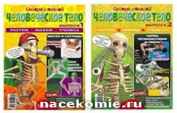 журнал Человеческое тело журнал Человеческое тело