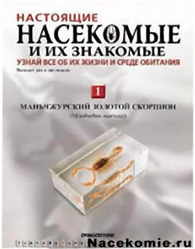 Журнал Насекомые и их знакомые