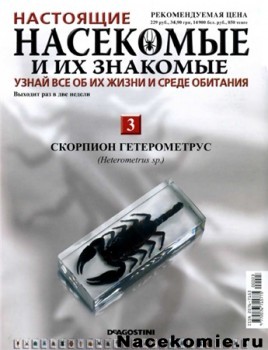 Насекомые и их знакомые № 3 Скорпион Гетерометрус (Heterometrus sp.) Насекомые и их знакомые № 3 Скорпион Гетерометрус (Heterometrus sp.)