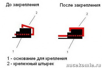 Папка для журналов Насекомые и их знакомые