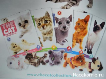 The Cat Collection 