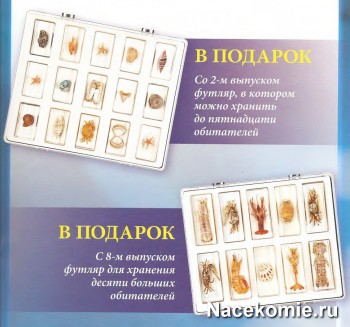 Кейсы для хранения
