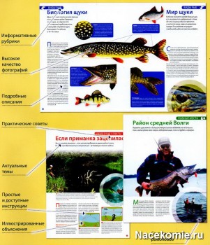 Журнал Рыбалка (Ашет)