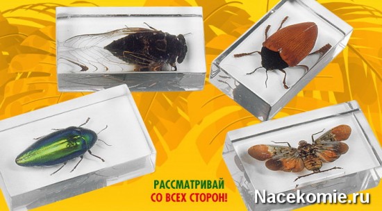 Прозрачные капсулы с насекомыми и ко