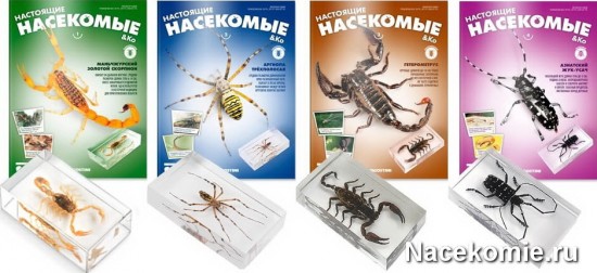 Первые выпуски коллекции
