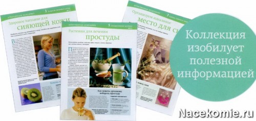 Страницы журнала 